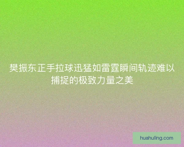 樊振东正手拉球迅猛如雷霆瞬间轨迹难以捕捉的极致力量之美 樊振东正手拉球迅猛如雷霆瞬间轨迹难以捕捉的极致力量之美