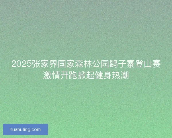 2025张家界国家森林公园鹞子寨登山赛激情开跑掀起健身热潮